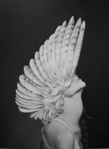 wings4