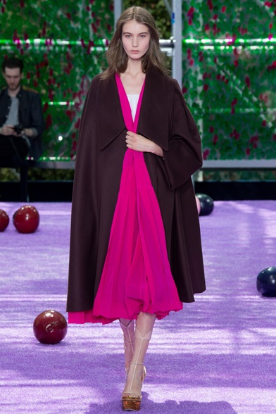 dior 1
