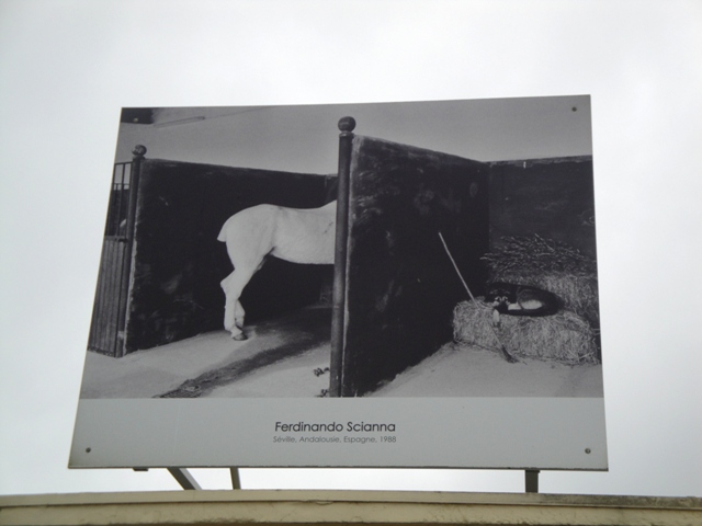 deauville 6