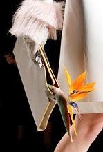 fendi 2